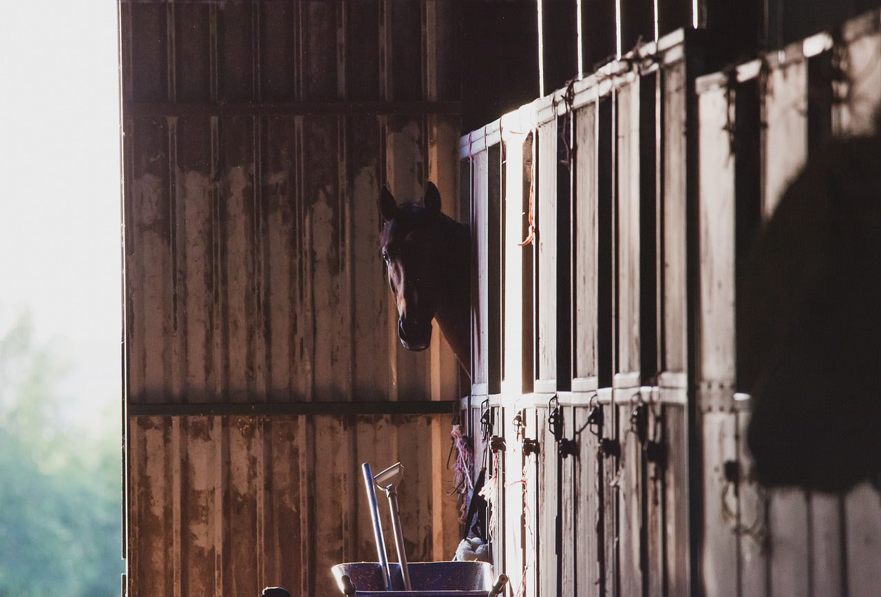 Cleaning Farms or Stables