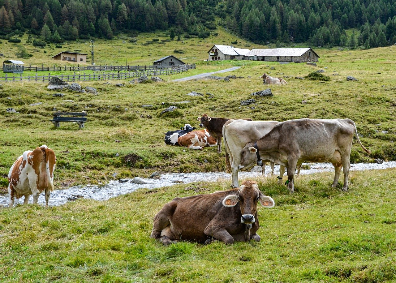 Livestock and Pressure Washing