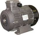 Electric Motor 15 HP
