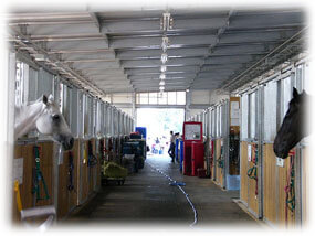 cleaning farms and stables