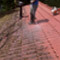 Roof Cleaning Action2
